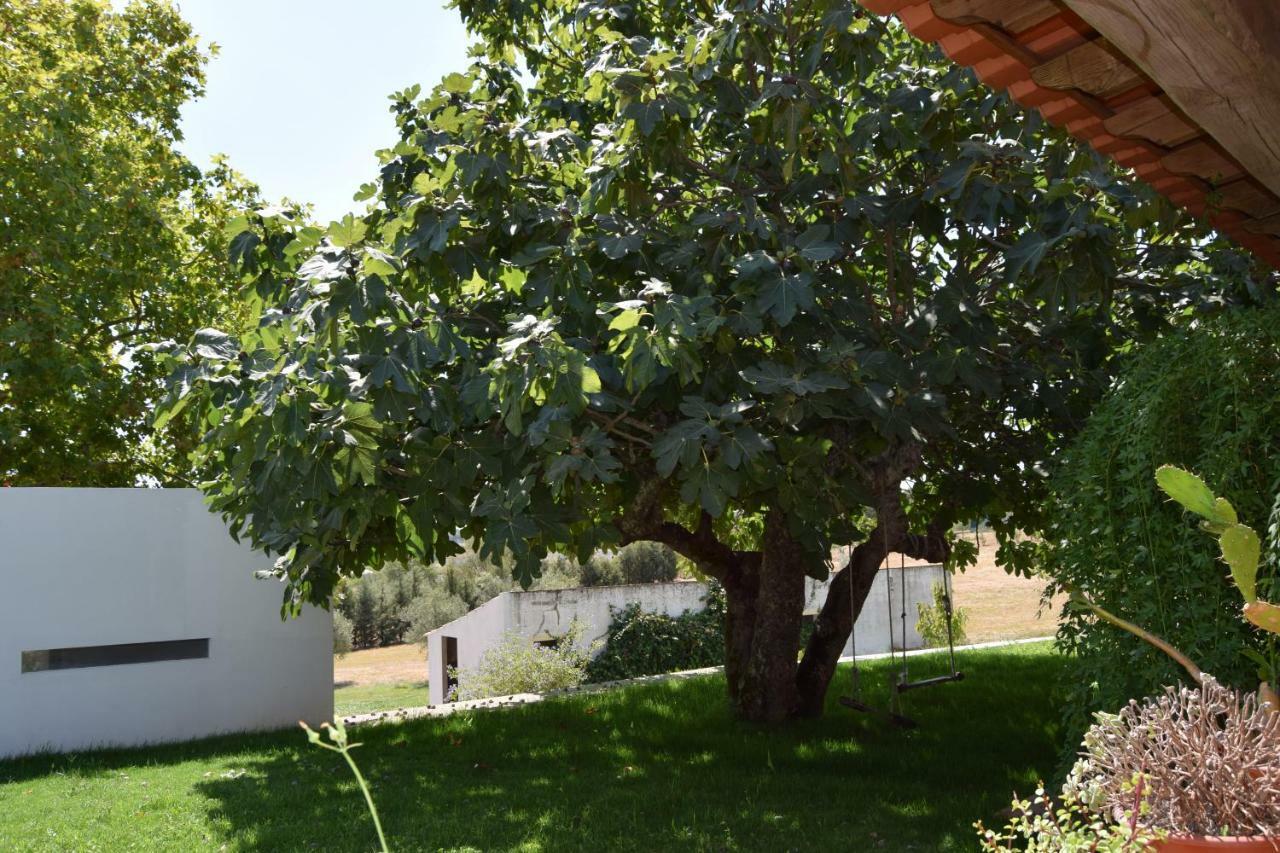 فيلا Quinta Da Aurora ايفورا المظهر الخارجي الصورة